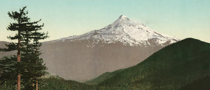 Postcard Print of Mt. Hood wide thumbnail image Postcard Print of Mt. Hood wide thumbnail image