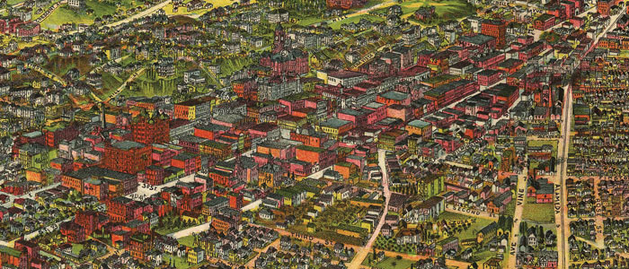 Birdseye View of Los Angeles thumbnail image Birdseye View of Los Angeles image